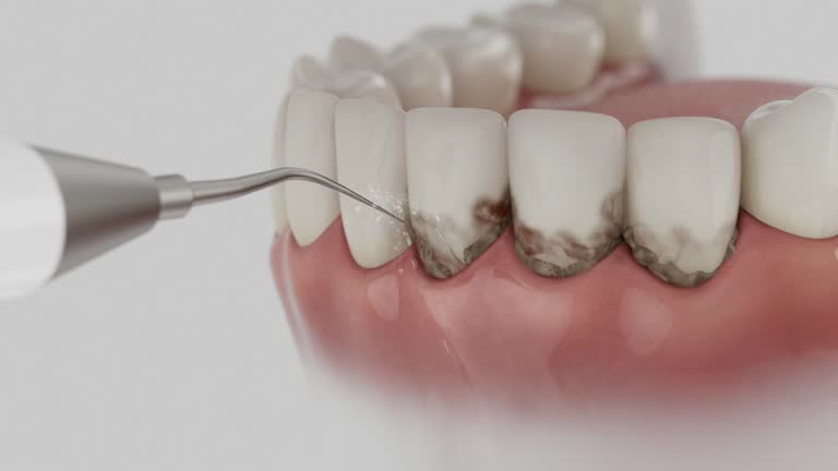 Reliable Dental contractor in South Chicago Heights, IL by Dentist Open Now